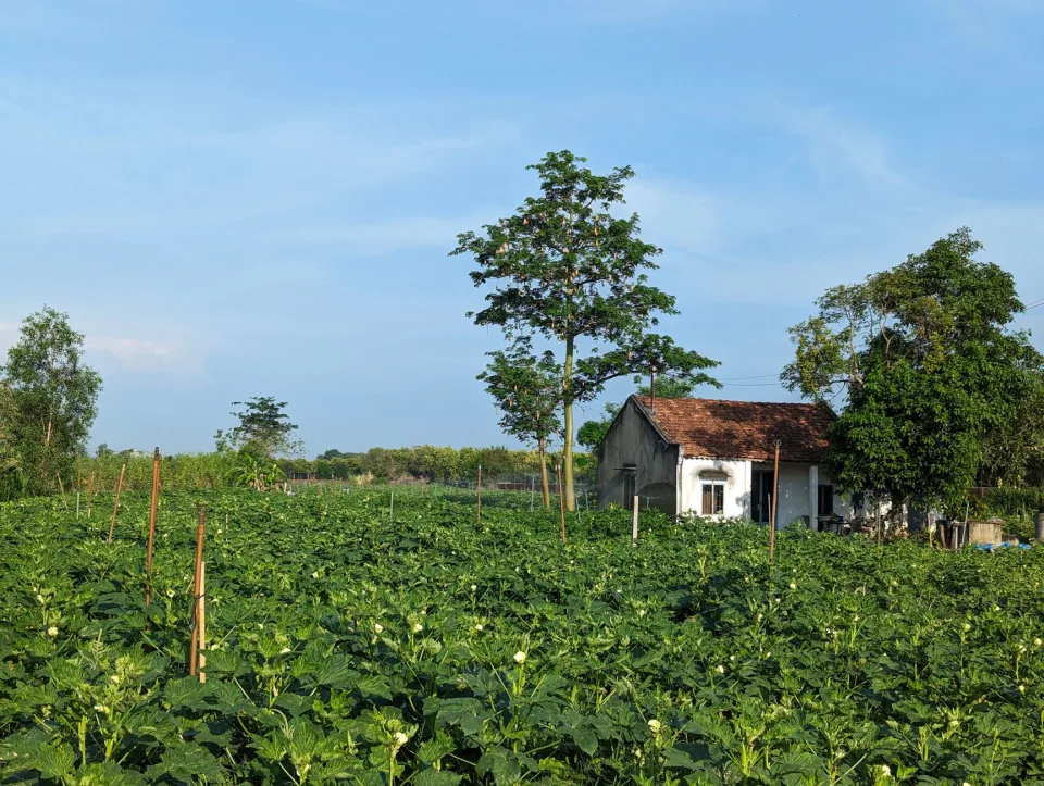 Cửa hàng nông sản tại Nguyễn Thành Trí