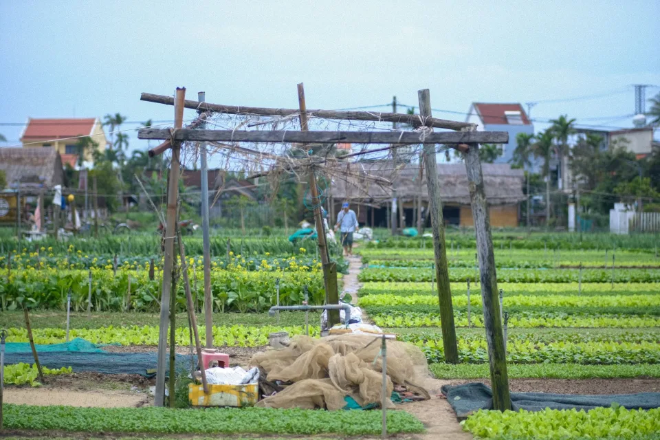 Khu kiểm tra hạt giống